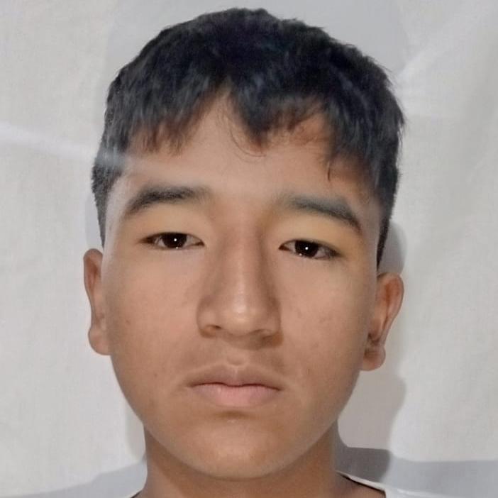 User Image