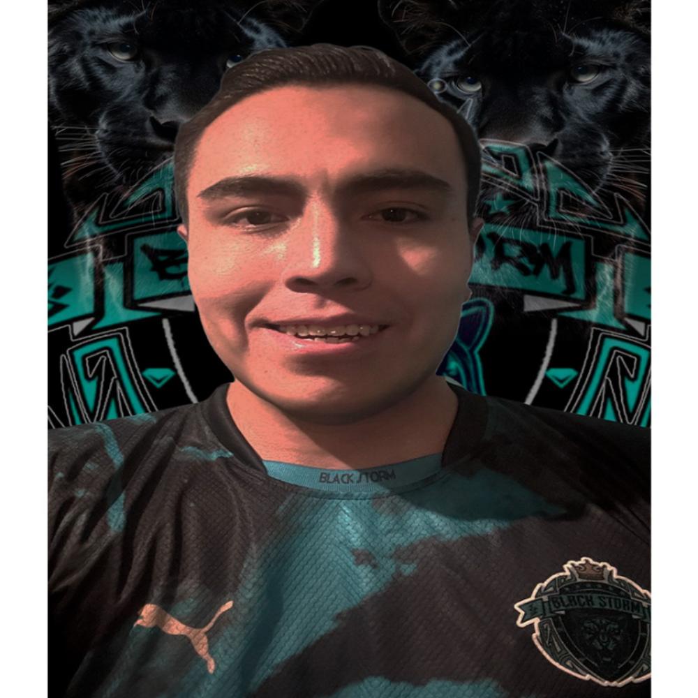 User Image