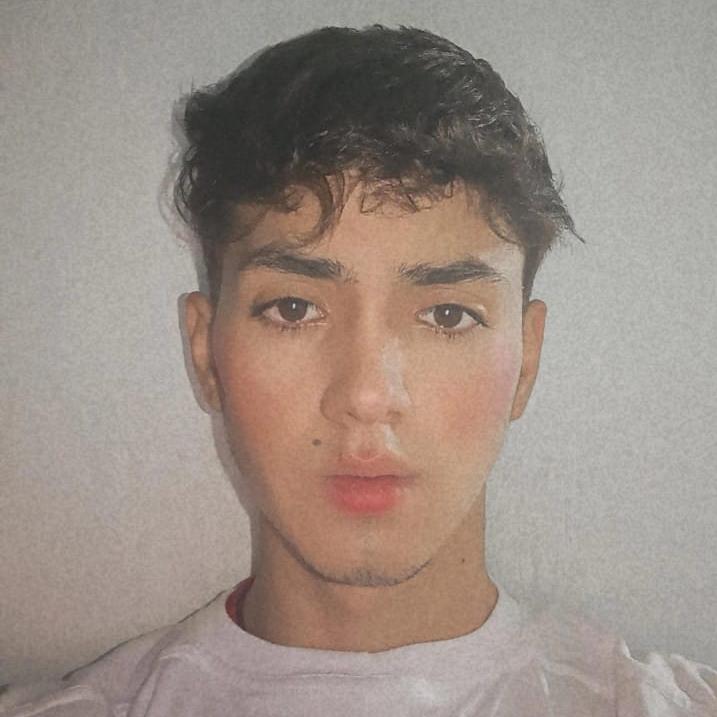 User Image