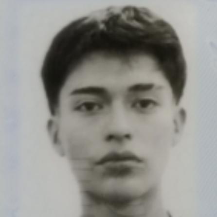 User Image
