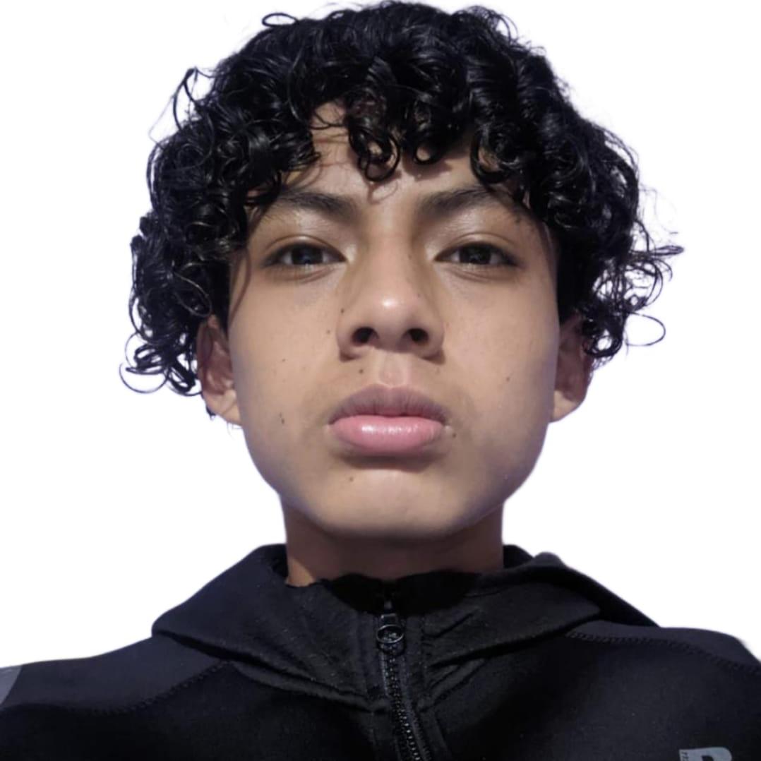 User Image
